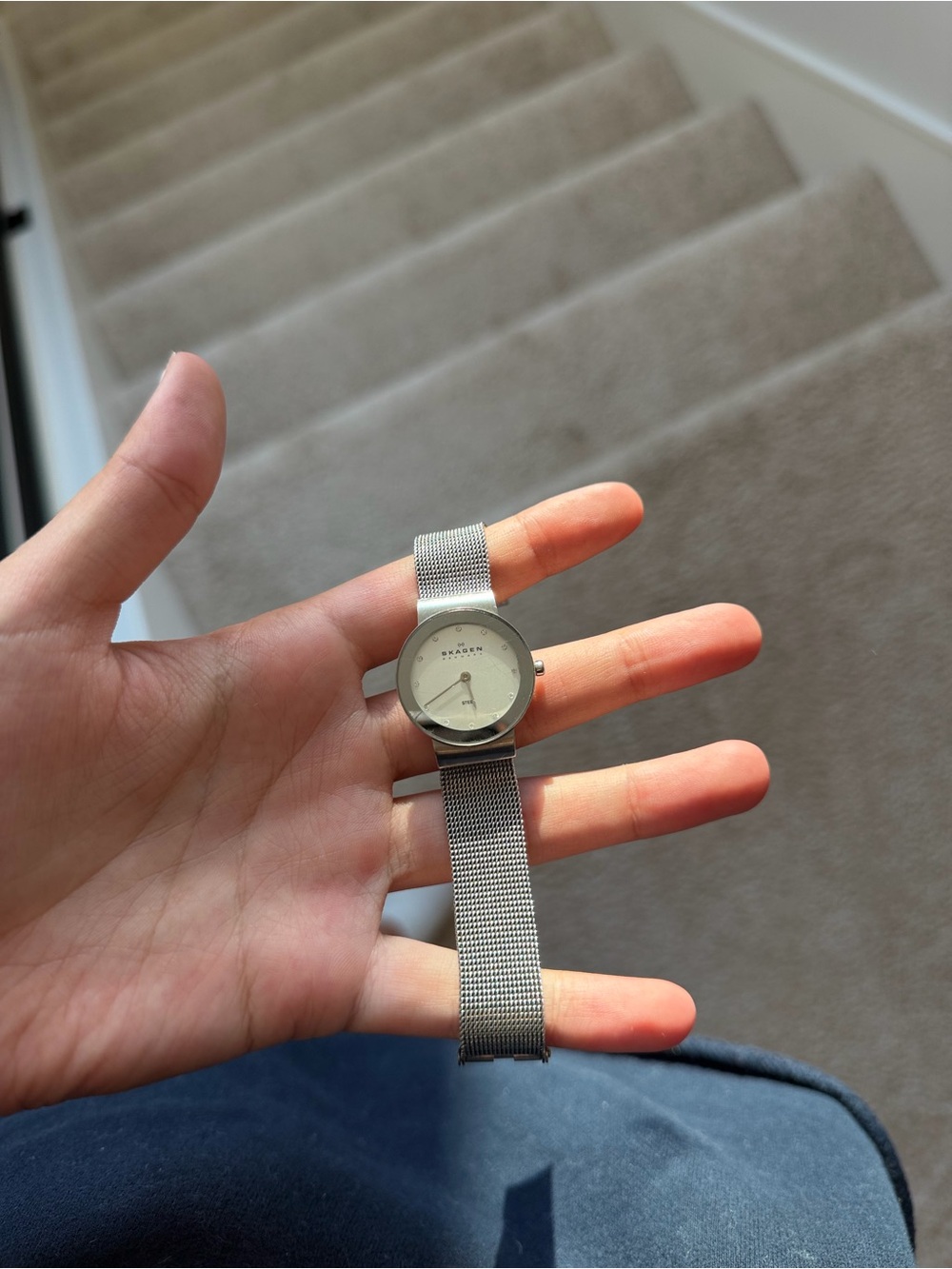 beautiful Skagen Denmark women’s signature steel silver watch